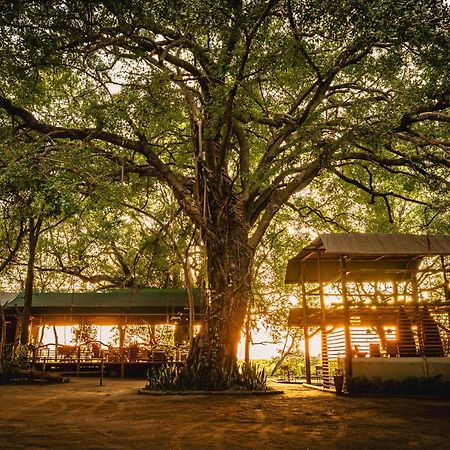 Askiesbos - Samochima Bush Camp Shakawe 외부 사진