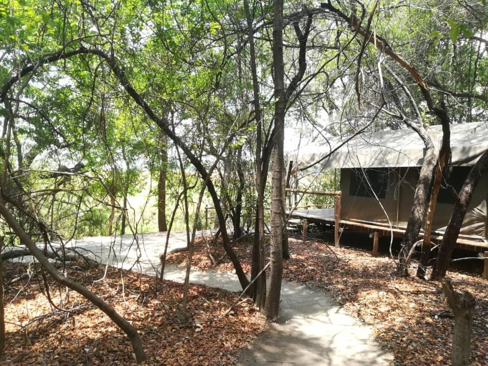 Askiesbos - Samochima Bush Camp Shakawe 외부 사진