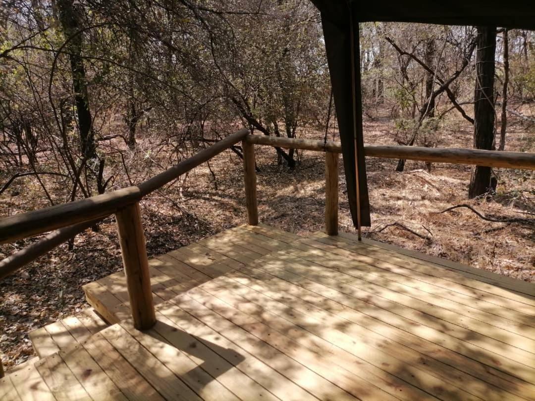 Askiesbos - Samochima Bush Camp Shakawe 외부 사진