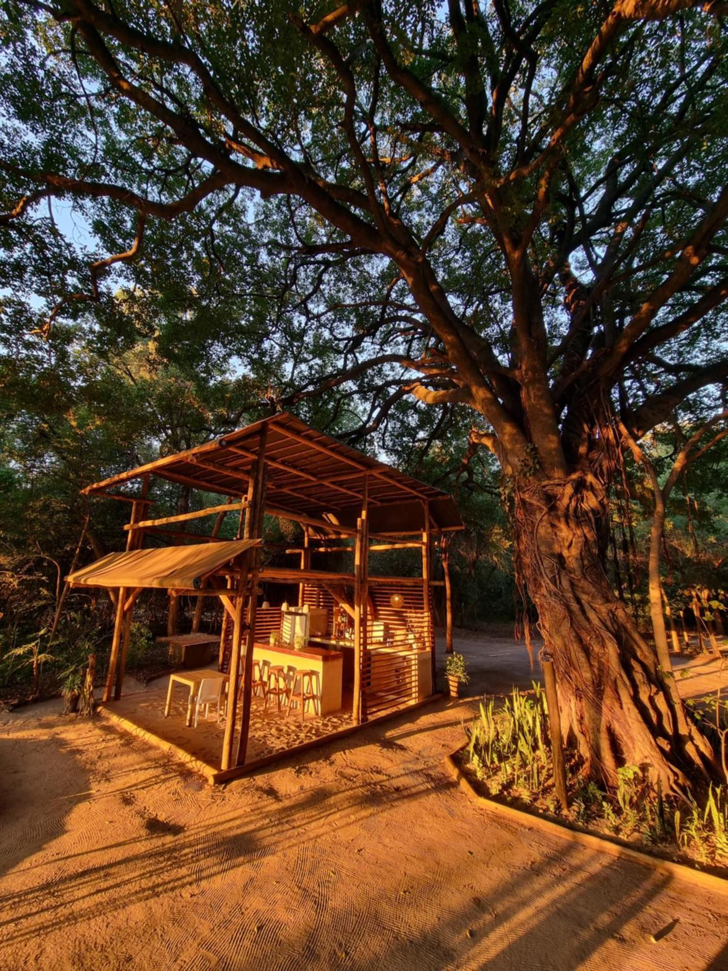 Askiesbos - Samochima Bush Camp Shakawe 외부 사진